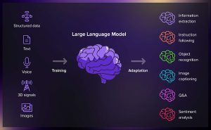 Fig.1.2: Large Language Model