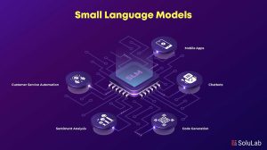 Fig.1.3: Small Language Model